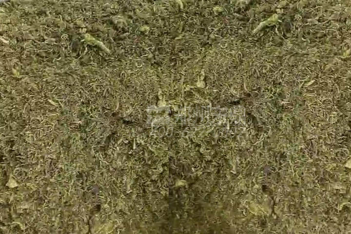 牧草烘干機(jī)如何科學(xué)選型？牧草烘干過程中營(yíng)養(yǎng)成分會(huì)流失嗎